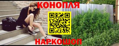 стаф Малгобек