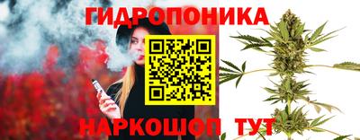 стаф Малгобек