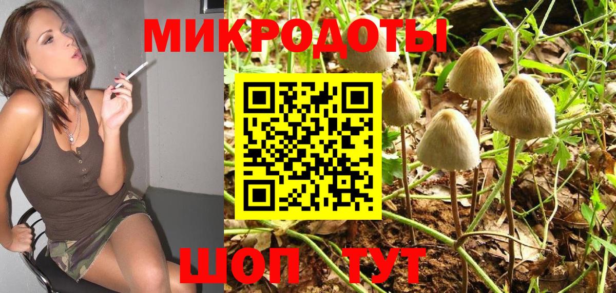 Аша  Галлюциногенные грибы MAGIC MUSHROOMS  Вход с VPN  Псилоцибиновые грибы Psilocybe 