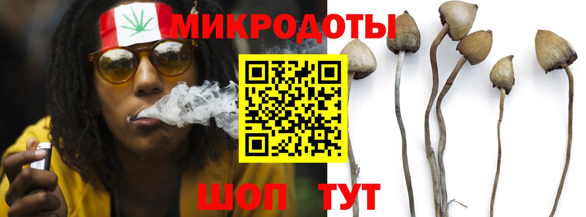 Галлюциногенные грибы GOLDEN TEACHER Аша